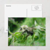 Hummelpostkarte Postkarte (Vorne/Hinten)