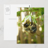 Hummelpostkarte Postkarte (Vorne/Hinten)