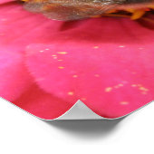 Hummelprint Poster (Ecke)