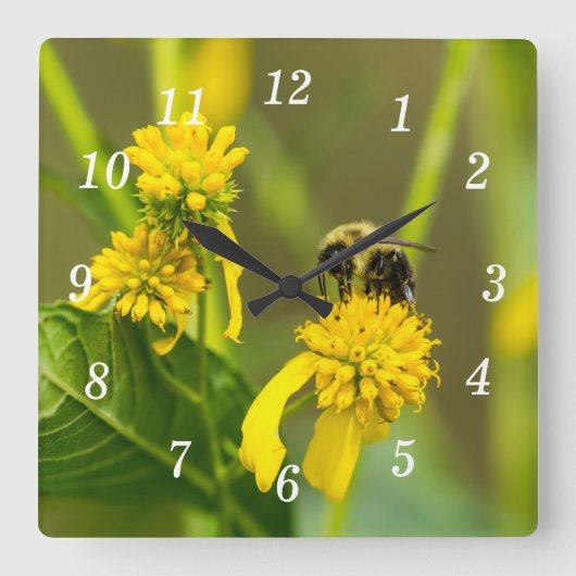 Hummelsäulenuhr Quadratische Wanduhr (Vorderseite)