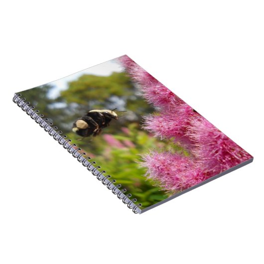 Hummelschwimme Notizblock (Rechte Seite)