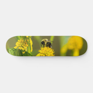 Hummelskateboard Skateboard