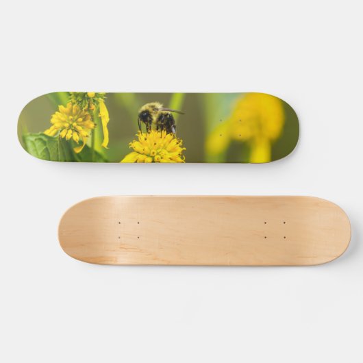 Hummelskateboard Skateboard (Horizontal)