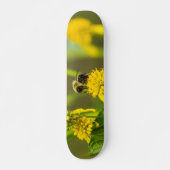 Hummelskateboard Skateboard (Vorne)