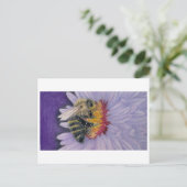 Hummelskizze drucken postkarte (Stehend Vorderseite)