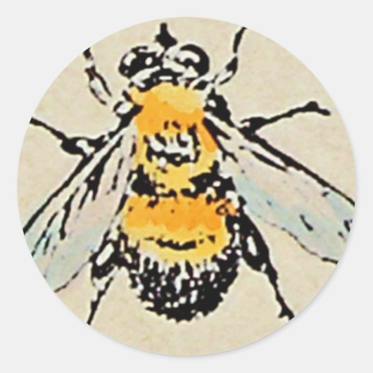 Hummelsticker Runder Aufkleber (Vorderseite)