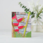 Hummer Claw Blume Heliconia Rostrata Postkarte (Stehend Vorderseite)