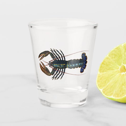 Hummer - Europäischer Hummer Schnapsglas (Vorderseite)
