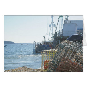 Hummer-Fischen im Bar-Hafen