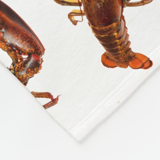 Hummer Fleecedecke (Ecke)