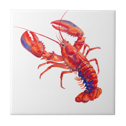 Hummer Fliese (Vorderseite)