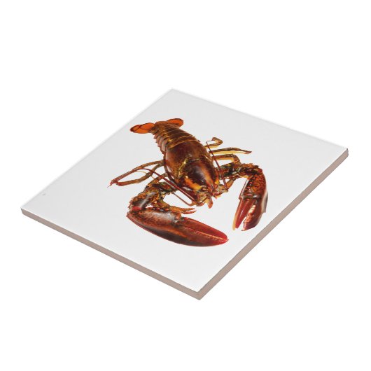 Hummer Fliese (Seite)