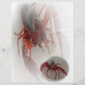 Hummer-Flyer Flyer (Hinten)