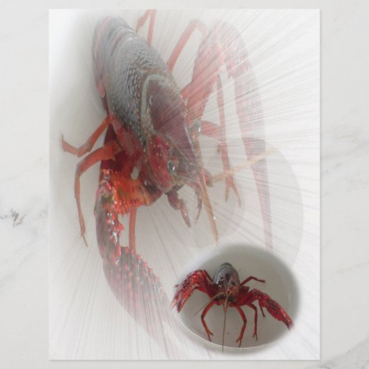 Hummer-Flyer Flyer (Hinten)