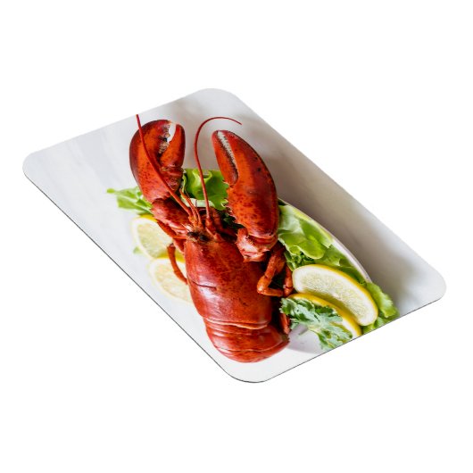 Hummer-Foto Magnet (Rechte Seite)