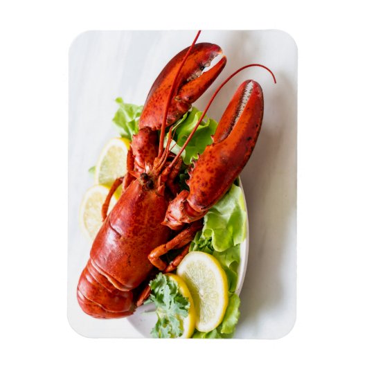 Hummer-Foto Magnet (Vertikal)