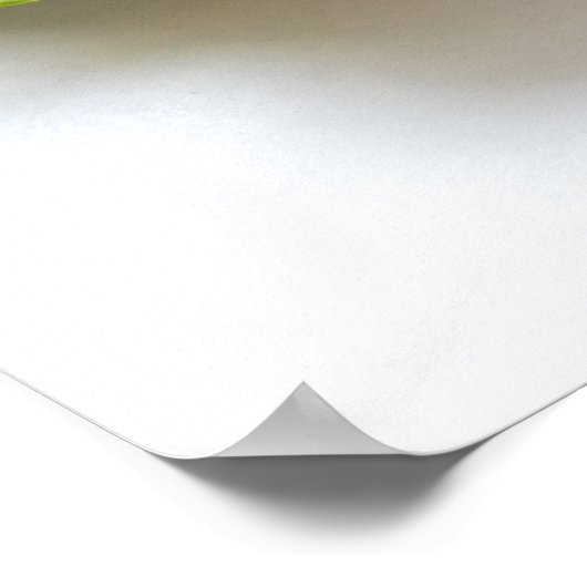 Hummer-Foto Poster (Ecke)