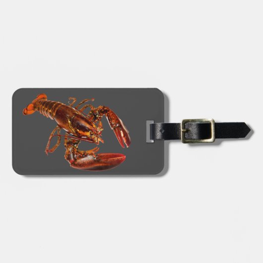 Hummer Gepäckanhänger (Vorderseite horizontal)