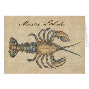 Hummer-Illustration Antique Maine Seafood