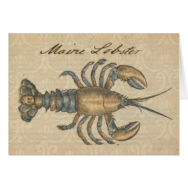 Hummer-Illustration Antique Maine Seafood (Vorderseite (Horizontal))