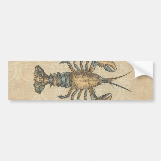 Hummer-Illustration Antique Maine Seafood Autoaufkleber (Vorne)