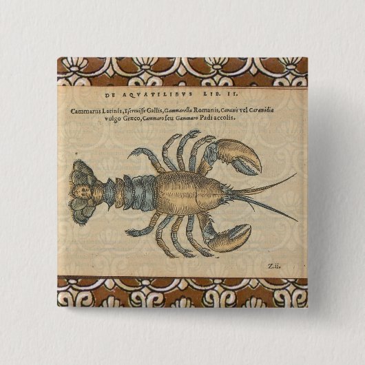 Hummer-Illustration Antique Maine Seafood Button (Vorderseite)