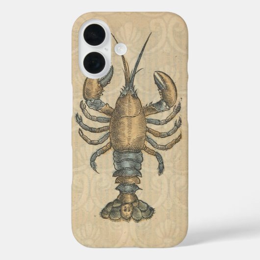 Hummer-Illustration Antique Maine Seafood Case-Mate iPhone Hülle (Rückseite)