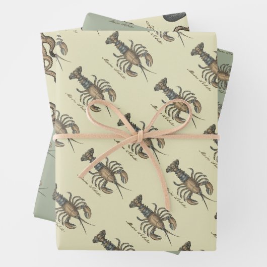 Hummer-Illustration Antique Maine Seafood Geschenkpapier Set (Beispiel)