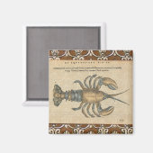 Hummer-Illustration Antique Maine Seafood Magnet (Vorderseite/Rückseite)