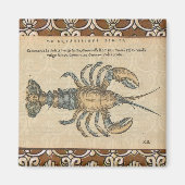 Hummer-Illustration Antique Maine Seafood Magnet (Vorne)