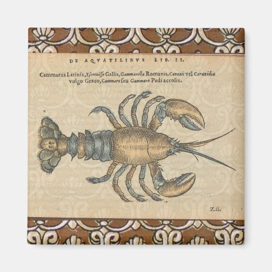 Hummer-Illustration Antique Maine Seafood Magnet (Vorne)