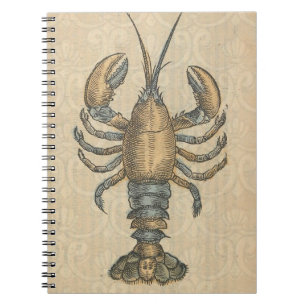 Hummer-Illustration Antique Maine Seafood Notizblock