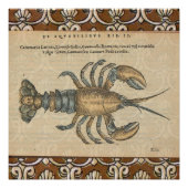 Hummer-Illustration Antique Maine Seafood Poster (Vorderseite)
