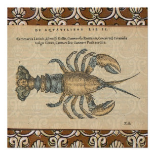 Hummer-Illustration Antique Maine Seafood Poster