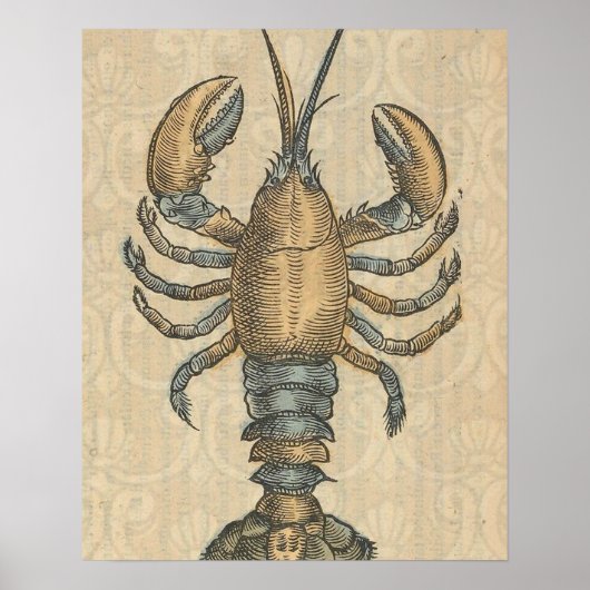 Hummer-Illustration Antique Maine Seafood Poster (Vorne)