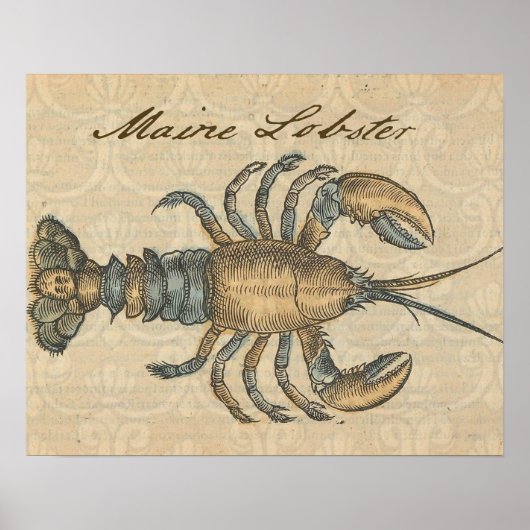 Hummer-Illustration Antique Maine Seafood Poster (Vorne)