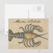 Hummer-Illustration Antique Maine Seafood Postkarte (Vorne/Hinten)