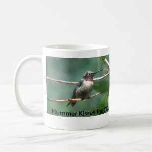 Hummer küsst Tasse