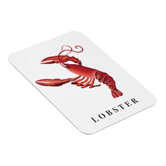 Hummer Magnet (Rechte Seite)