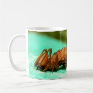 Hummer Moth Raupe Bug Tasse