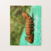 Hummer Moth Raupe Foto Puzzle und Geschenkboxen (Vertikal)