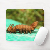 Hummer Moth Raupe Mouse Mat Mousepad (Mit Mouse)