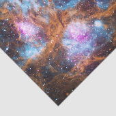 Hummer-Nebelfleck Seidenpapier (Ausschnitt)