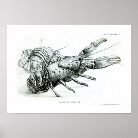 Hummer Poster (Vorne)