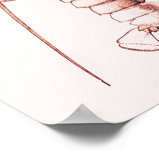 Hummer Poster ~ American Hummer (Ecke)