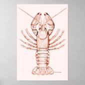 Hummer Poster ~ Fluss Cray Fish (Vorne)