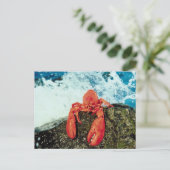 Hummer Postkarte (Stehend Vorderseite)