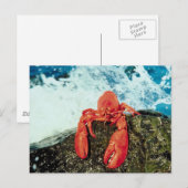 Hummer Postkarte (Vorne/Hinten)