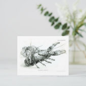 Hummer Postkarte (Stehend Vorderseite)