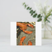 Hummer Postkarte (Stehend Vorderseite)